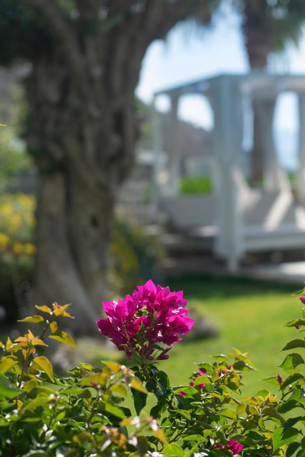 Bodrum Infinity Тургутрейс Экстерьер фото